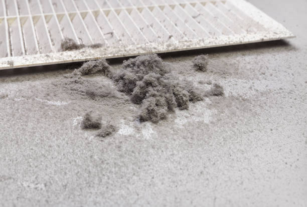 Best Air Duct Cleaning Near Me  in Maroa, IL