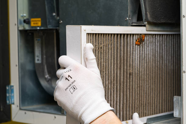 Best Affordable Duct Cleaning Services  in Maroa, IL